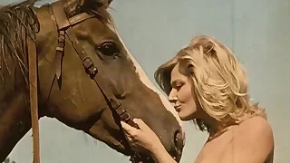 Porn Videos 48